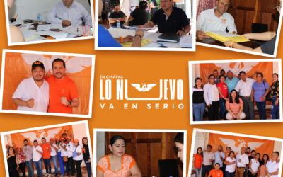 Registro de las candidatas y candidatos Movimiento Ciudadano Chiapas